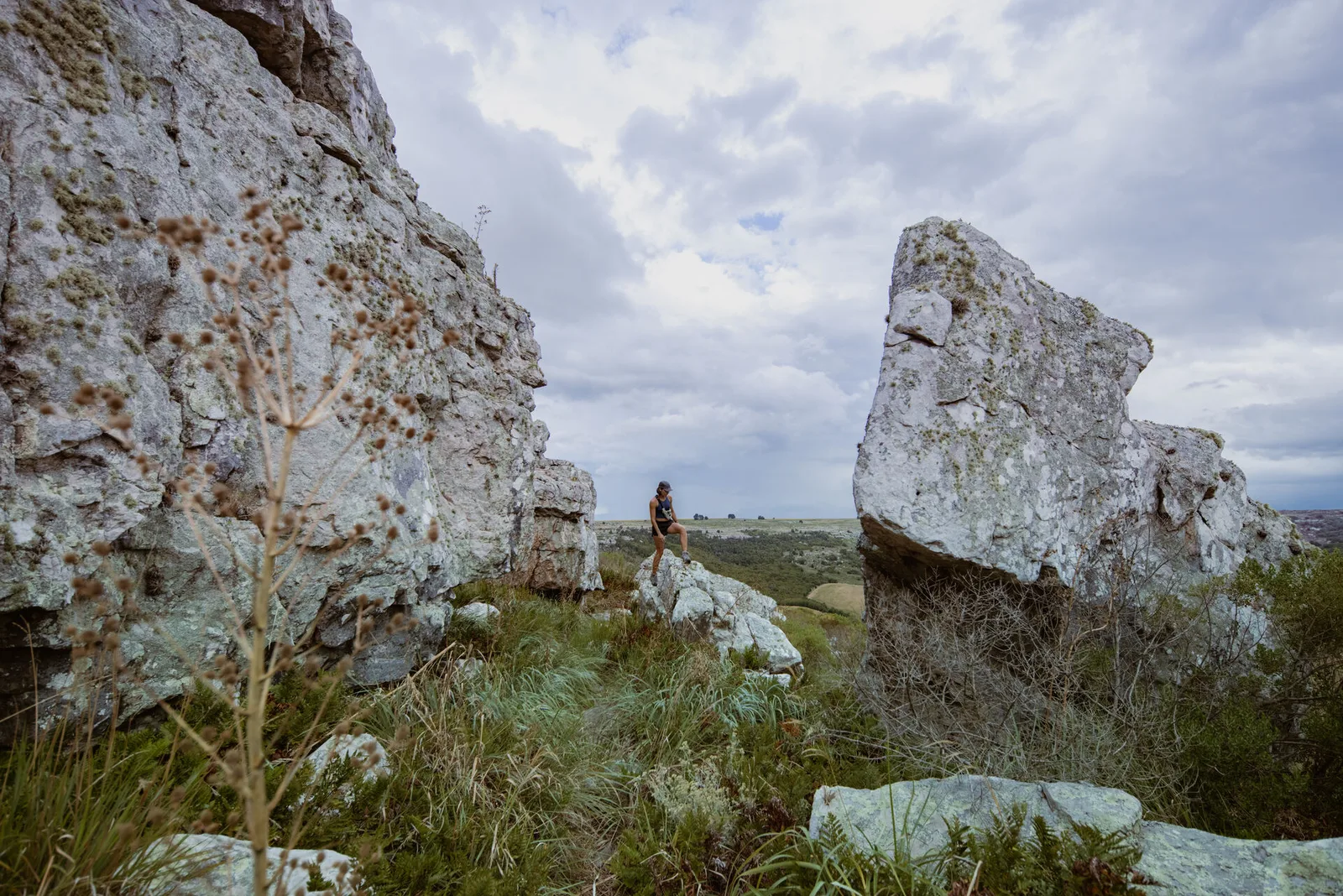Sendero de la sierra