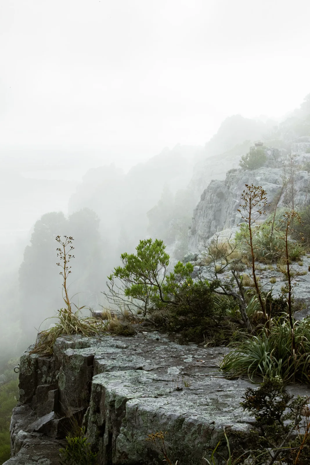 Vista de la sierra