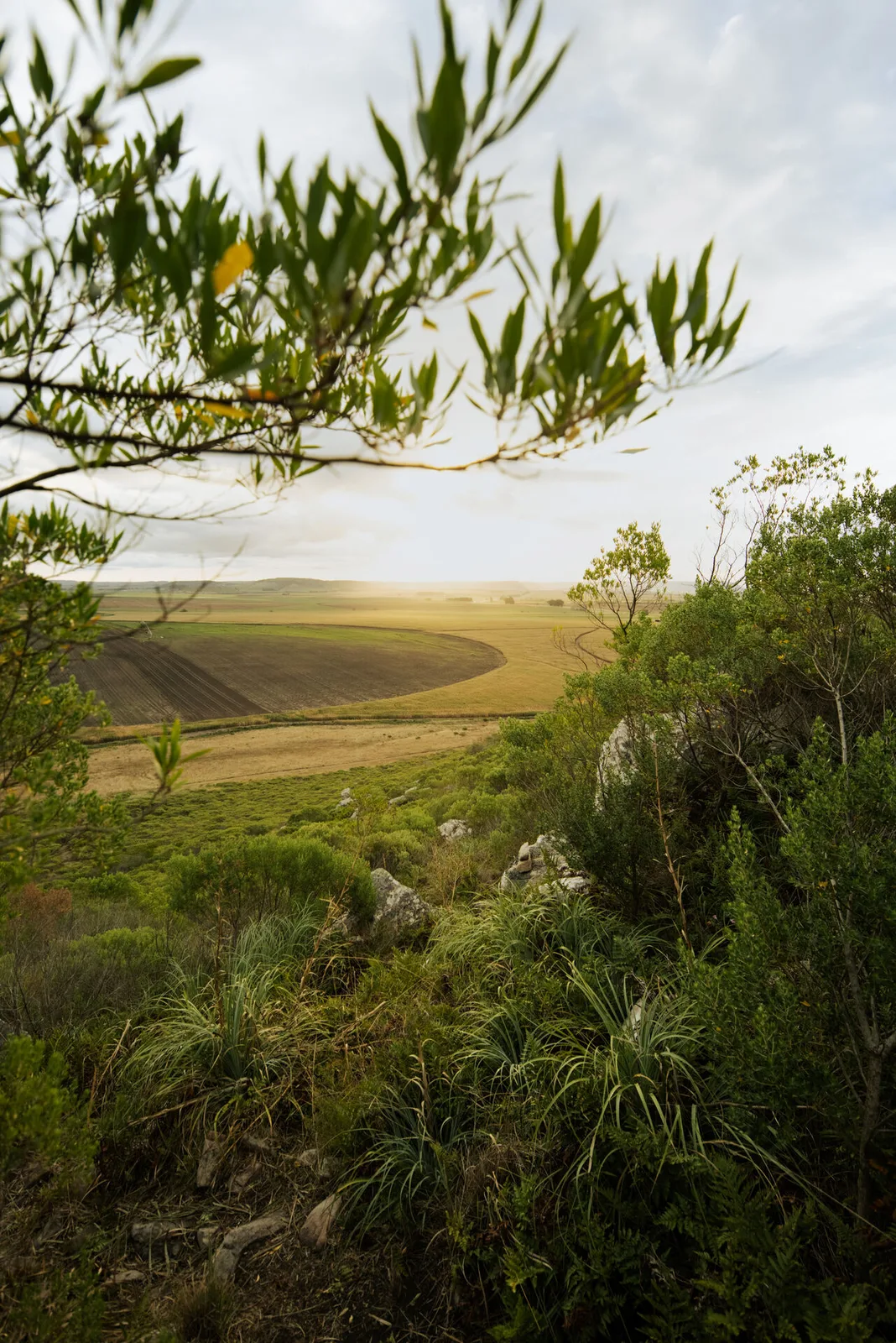 Caminata en la sierra