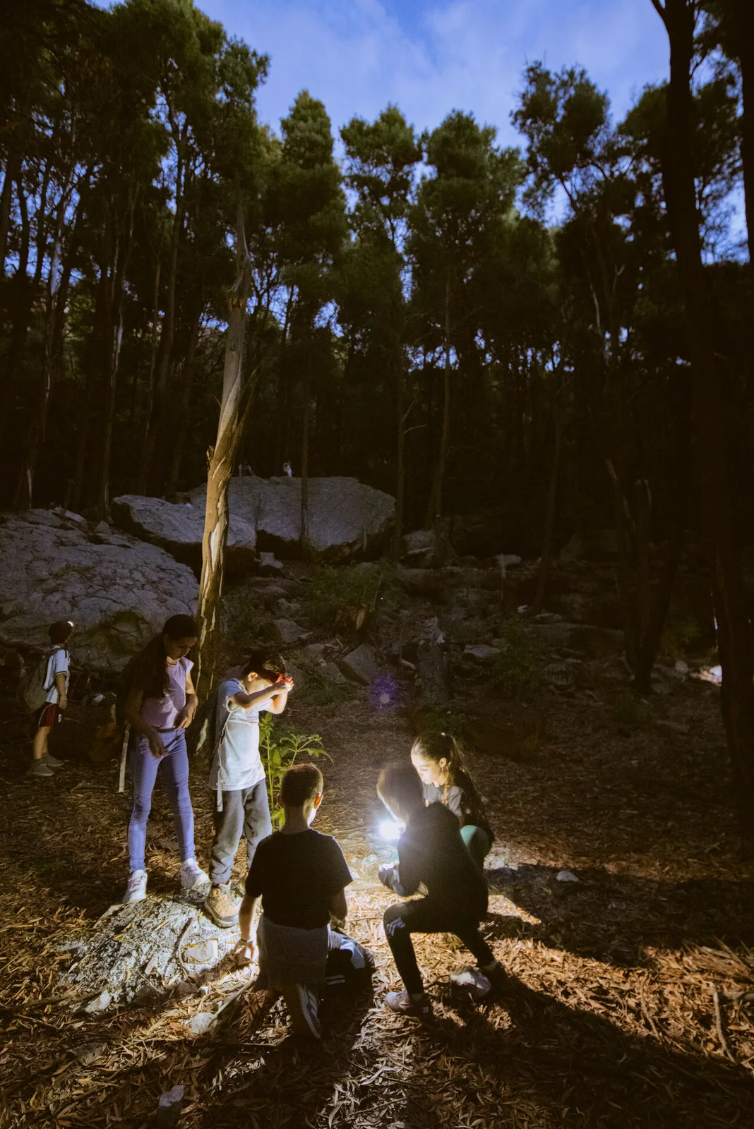Trek nocturno + charla astronómica