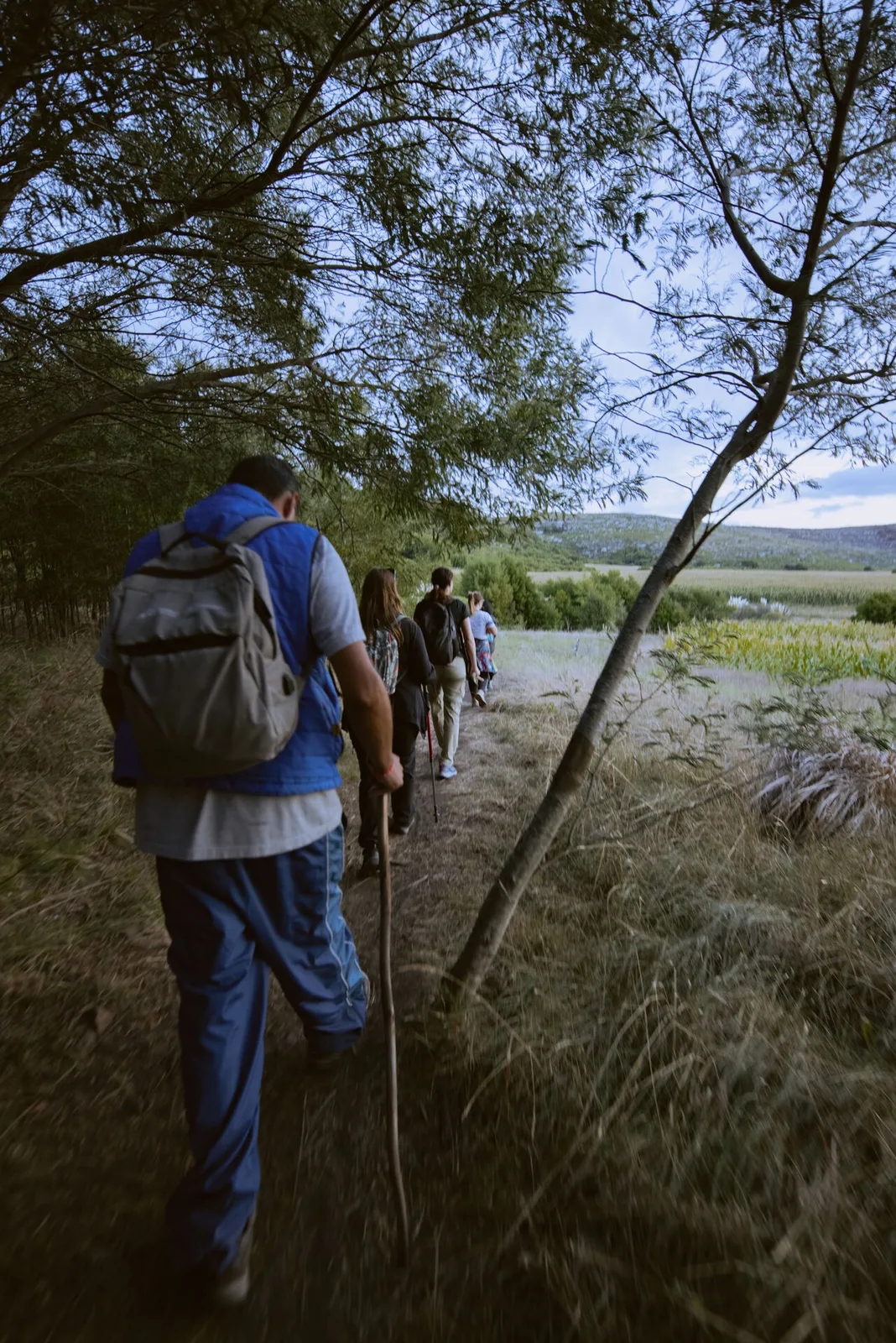 Bosque de la sierra