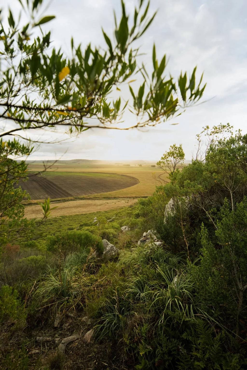 Sierra de los Difuntos